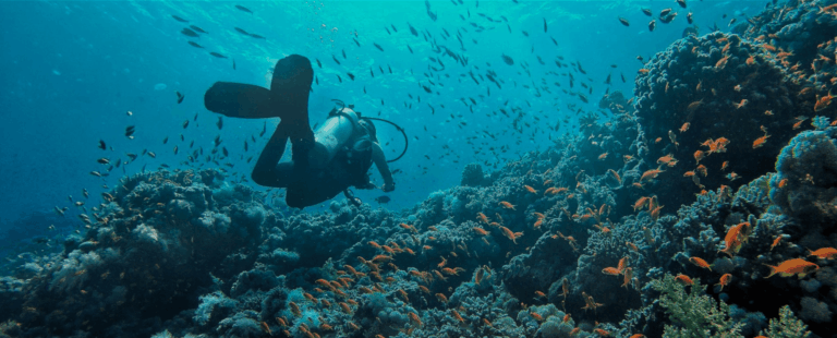 Pelangi Scuba Diving Center